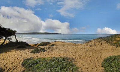 About Dillon Beach California