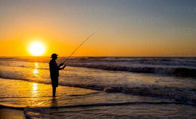 Things to do at Dillon Beach